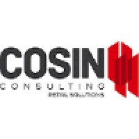 COSIN CONSULTING - Retail Solutions Logo