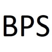 BROAD PROJECT SOLUTIONS Logo