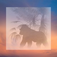 Silverback Networks, Inc. Logo