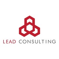 Lead Consulting | Experienced | Professional | Business Partners Logo