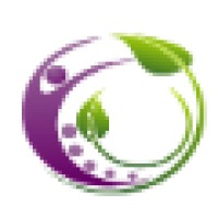 Clear Connections Chiropractic Logo