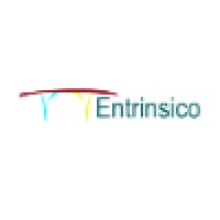 Entrinsico Logo
