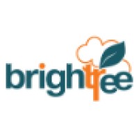 Brightree Pte Ltd Logo