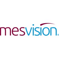 MESVision Logo