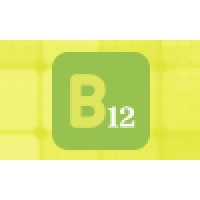 B12 Group Logo