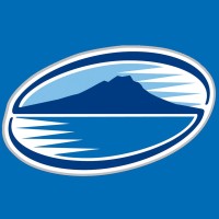 The Blues Logo
