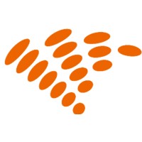 Coaching Noord Nederland Logo