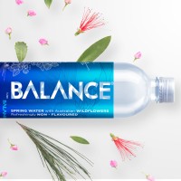 Balance Logo