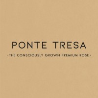 Ponte Tresa Roses Logo