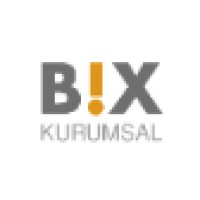 BIX Kurumsal Logo