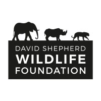 David Shepherd Wildlife Foundation (DSWF) Logo