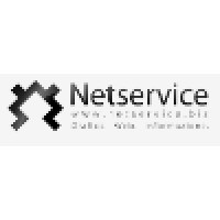 Netservice S.R.L. Logo