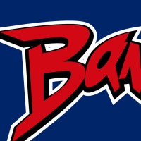 Bandit Fitness Equipment Logo