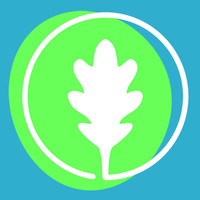 Bank of Oak Ridge Logo