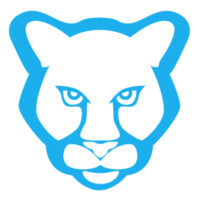 Copypanthers Logo