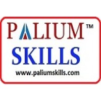 Palium Skills Logo