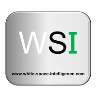 White Space Intelligence Ltd Logo