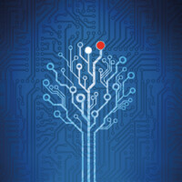 Digital Force Consulting Logo