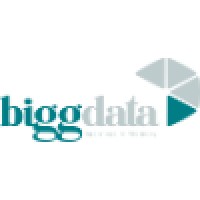 Biggdata Logo