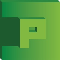 PolyPixel Logo