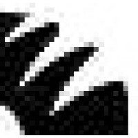 Tiger Solutions Ltd Logo