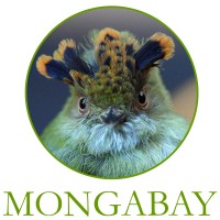 Mongabay.org Logo