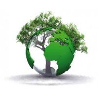 NEW ECO HOLDINGS GROUP Logo