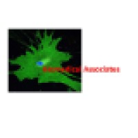 Biomedical Associates - Logo