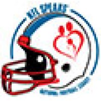 NFLSpeaks - Gridiron Guardians Logo