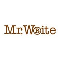 Mr. Write Logo