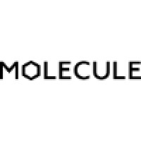 Molecule Studio Logo