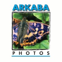 Arkaba Photos Logo
