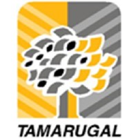 Transportes Tamarugal Ltda Logo