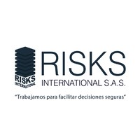 RISKS INTERNATIONAL Logo