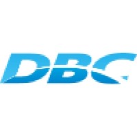 Dragonsoft Bravo Consulting Logo