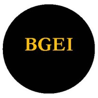 Business and Government Ethics International Logo
