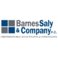 Barnes Saly & Company, P.C. Logo