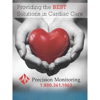 Precision Monitoring Logo
