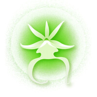 Southern Blossoms Inc. Logo