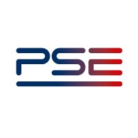 Polskie Sieci Elektroenergetyczne S.A. Logo