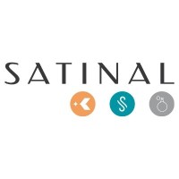 SATINAL SpA Logo