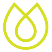 Vesdor Logo