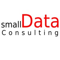 Small Data Consulting Logo