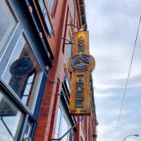 Iron Tree Coffee Company Logo