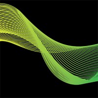 Reggae Math Foundation Logo