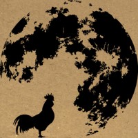 Nocturnal Rooster Design Logo