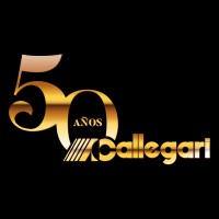 CALLEGARI AUTOMOTRIZ Logo