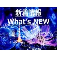 Government of Japans Regulatory Sandbox Committee Logo