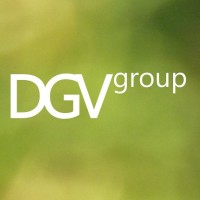 DGVgroup Logo