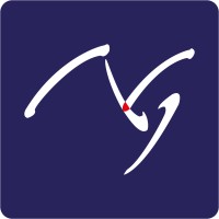 NG Electronica SA Logo